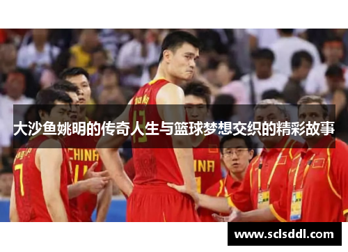 大沙鱼姚明的传奇人生与篮球梦想交织的精彩故事