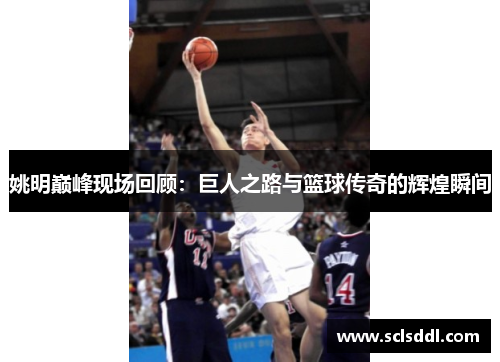 姚明巅峰现场回顾：巨人之路与篮球传奇的辉煌瞬间